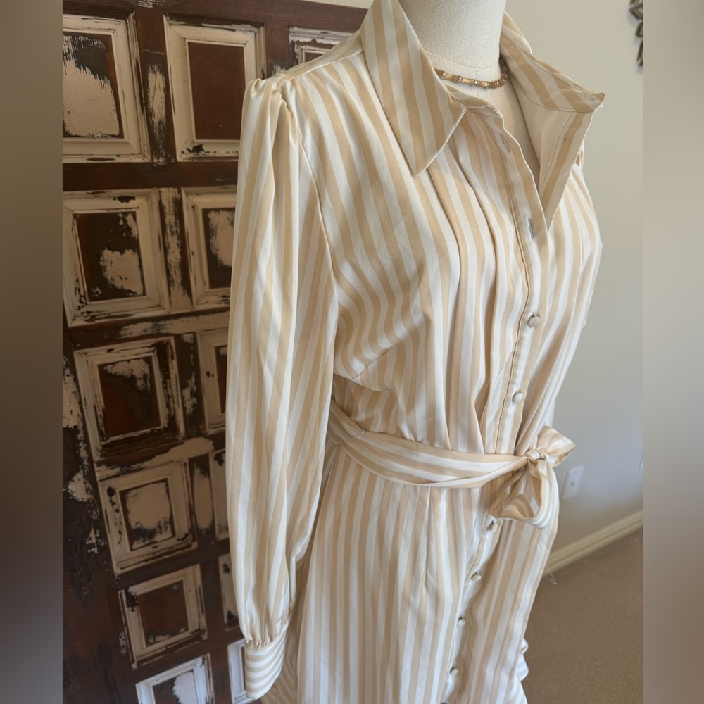 Alex Marie Jesse Cream Striped Shirt Dress - size 14 - Picture 3 of 12